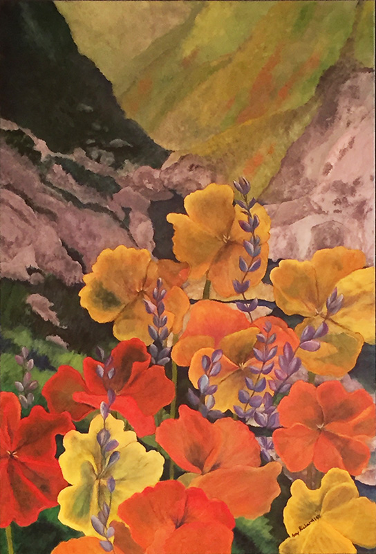 Amy Richardson - Kern Canyon after the rains