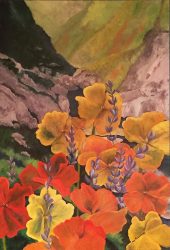 Kern Canyon after the rains
- Acrylic and India Ink on Canvas
- Original not available.
- Signed canvas and paper prints available on order Amy Richardson - Kern Canyon after the rains